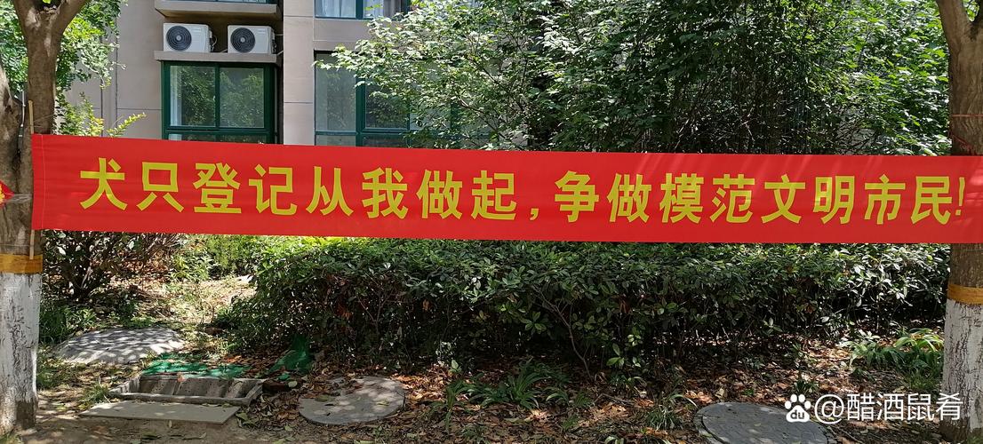 智博建材